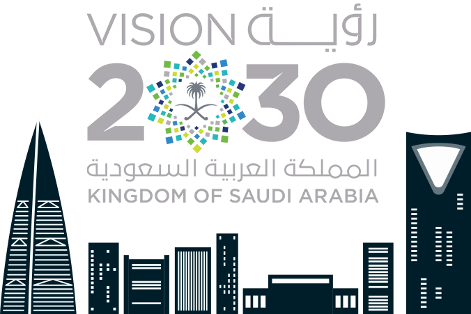 Vision 2030 Image